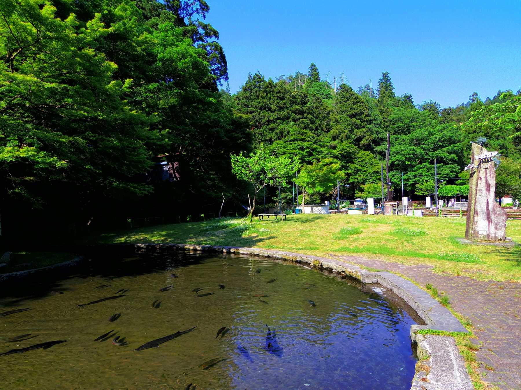 清流をたたえた場内の池